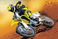 Suzuki RM-Z450